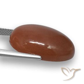 Pedra da Lua Castanho médio Natural 20.59ct, oval, Translúcido