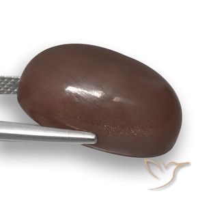 Pedra da Lua Castanho médio Natural 22.51ct, oval, Translúcido