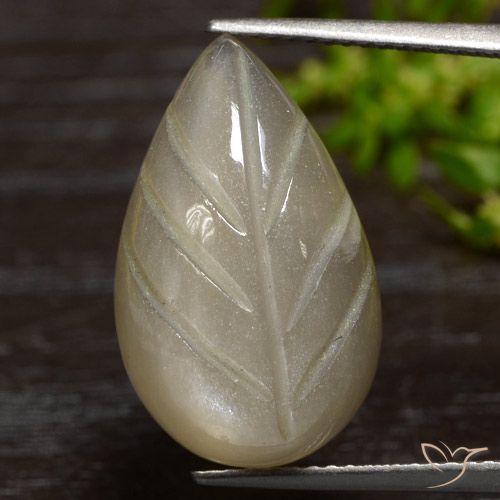 12.55ct Natural Café Marrom Claro Pedra da Lua, Chique, Translúcido