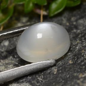 Pedra da lua branco natural 1,58ct, corte oval, translúcido