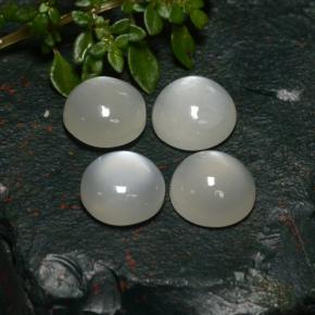 Pedras preciosas de pedra da lua branco natural de 8,31 ct, corte redondo, translúcido