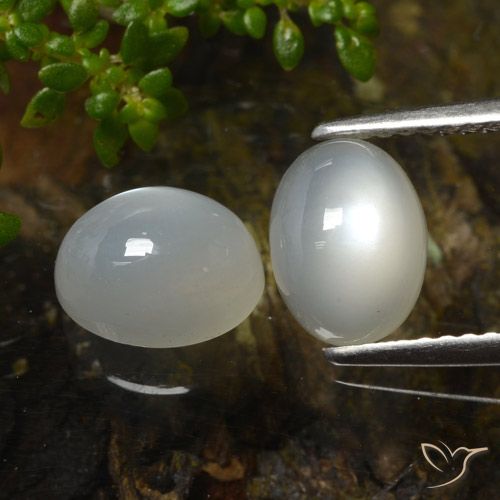 Pedras preciosas de pedra da lua branco natural de 3,27 ct, corte oval, translúcido
