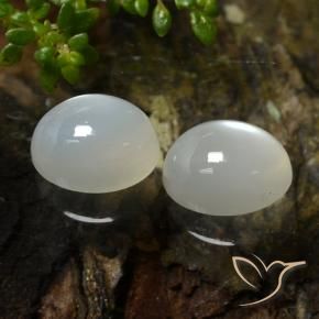 Pedras preciosas de pedra da lua branco natural de 3,27 ct, corte oval, translúcido