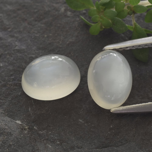 Pedras preciosas de pedra da lua branco natural de 3,14 ct, corte oval, translúcido