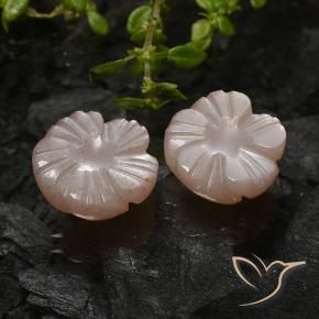 Pedras preciosas de Pedra da Lua Castanho muito claro natural de 5.24 ct, Flor cortada, Translúcido