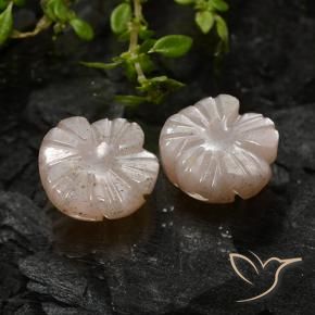 Pedras preciosas de Pedra da Lua Marrom Caramelo Claro natural de 5.08 ct, Flor cortada, Translúcido