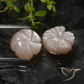 Pedras preciosas de Pedra da Lua Marrom Caramelo Claro natural de 5.08 ct, Flor cortada, Translúcido