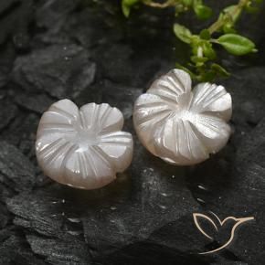 Pedras preciosas de Pedra da Lua Castanho muito claro natural de 4.73 ct, Flor cortada, Translúcido