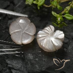 Pedras preciosas de Pedra da Lua Castanho muito claro natural de 4.73 ct, Flor cortada, Translúcido
