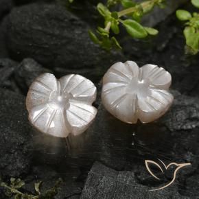 Pedras preciosas de Pedra da Lua Marrom Claro Quente natural de 3.96 ct, Flor cortada, Translúcido