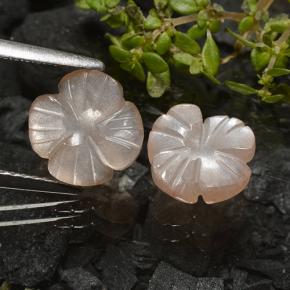 Pedras preciosas de pedra da lua marrom natural de 3,29 ct, corte flor, translúcido