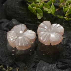 Pedras preciosas de pedra da lua marrom natural de 3,29 ct, corte flor, translúcido