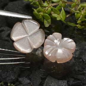 Pedras preciosas de pedra da lua marrom natural de 3,29 ct, corte flor, translúcido