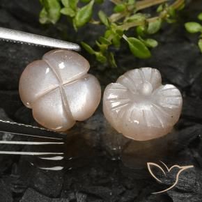 Pedras preciosas de Pedra da Lua Marrom Caramelo Claro natural de 5.09 ct, Flor cortada, Translúcido