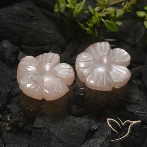 Pedras preciosas de Pedra da Lua Marrom Caramelo Claro natural de 6.87 ct, Flor cortada, Translúcido