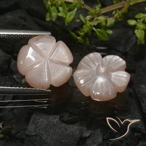 Pedras preciosas de Pedra da Lua Marrom Caramelo Claro natural de 6.87 ct, Flor cortada, Translúcido