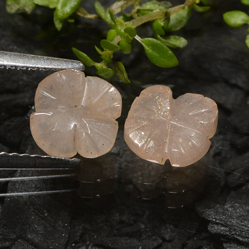 Pedras preciosas de pedra da lua marrom natural de 2,08 ct, corte flor, translúcido