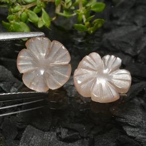 Pedras preciosas de pedra da lua marrom natural de 3,50 ct, corte flor, translúcido