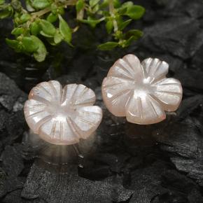 Pedras preciosas de pedra da lua marrom natural de 3,50 ct, corte flor, translúcido