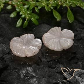 Pedras preciosas de Pedra da Lua Castanho Amendoim Claro natural de 4.91 ct, Flor cortada, Translúcido