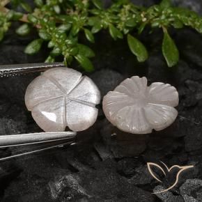 Pedras preciosas de Pedra da Lua Castanho Amendoim Claro natural de 4.91 ct, Flor cortada, Translúcido