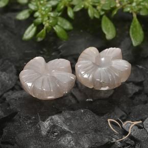 Pedras preciosas de Pedra da Lua Castanho muito claro natural de 5.49 ct, Flor cortada, Translúcido