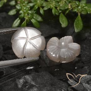 Pedras preciosas de Pedra da Lua Castanho muito claro natural de 5.49 ct, Flor cortada, Translúcido