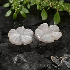 Pedras preciosas de Pedra da Lua Castanho Amendoim Claro natural de 3.40 ct, Flor cortada, Translúcido