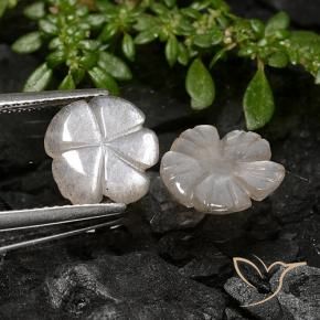 Pedras preciosas de Pedra da Lua Castanho Amendoim Claro natural de 3.40 ct, Flor cortada, Translúcido