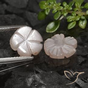 Pedras preciosas de Pedra da Lua Marrom Caramelo Claro natural de 4.41 ct, Flor cortada, Translúcido