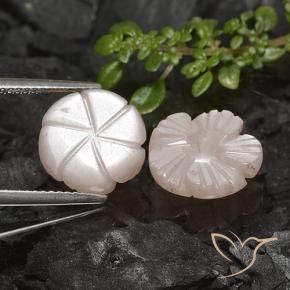 Pedras preciosas de Pedra da Lua Castanho muito claro natural de 7.56 ct, Flor cortada, Translúcido