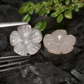 Pedras preciosas de pedra da lua marrom natural de 3,10 ct, corte flor, translúcido
