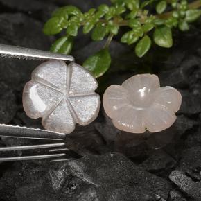 Pedras preciosas de pedra da lua marrom natural de 3,10 ct, corte flor, translúcido