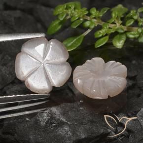 Pedras preciosas de Pedra da Lua Marrom Caramelo Claro natural de 4.83 ct, Flor cortada, Translúcido