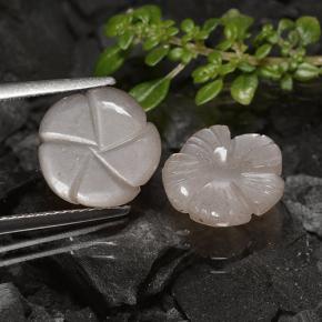 Pedras preciosas de pedra da lua marrom natural de 6,57 ct, corte flor, translúcido