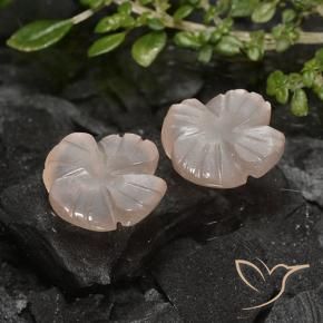 Pedras preciosas de Pedra da Lua Castanho muito claro natural de 4.26 ct, Flor cortada, Translúcido