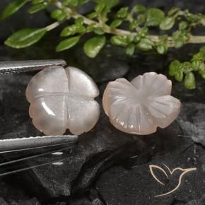 Pedras preciosas de Pedra da Lua Castanho muito claro natural de 4.26 ct, Flor cortada, Translúcido