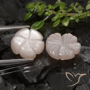 Pedras preciosas de Pedra da Lua Marrom Pálido natural de 6.44 ct, Flor cortada, Translúcido