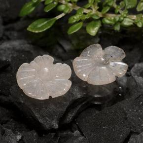 Pedras preciosas de pedra da lua marrom natural de 2,72 ct, corte flor, translúcido