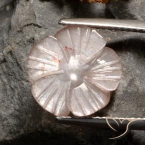 Pedra da Lua marrom neutro Natural 4.07ct, Flor cortada, Translúcido
