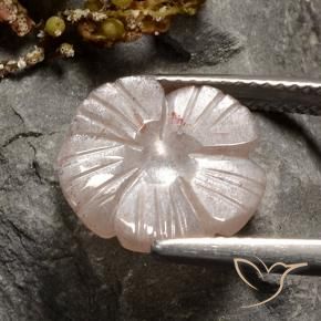 Pedra da Lua marrom neutro Natural 4.07ct, Flor cortada, Translúcido