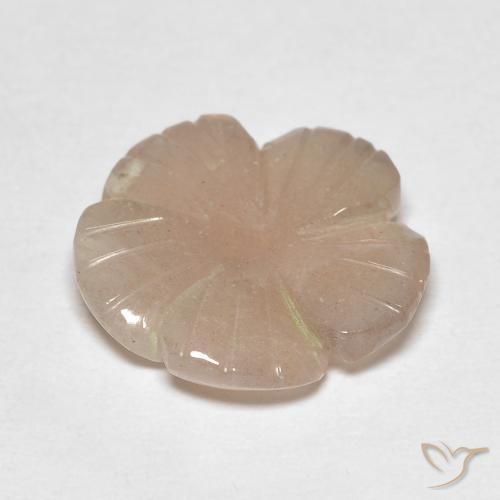 Pedra da Lua Nude Natural 4.13ct, Flor cortada, Translúcido