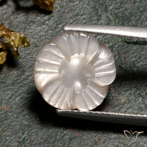 4.02ct Natural Marrom Caramelo Claro Pedra da Lua, Flor cortada, Translúcido