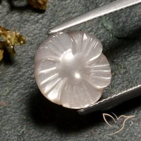 Pedra da Lua Marrom Caramelo Claro Natural 4.02ct, Flor cortada, Translúcido