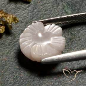 Pedra da Lua Marrom Caramelo Claro Natural 4.02ct, Flor cortada, Translúcido