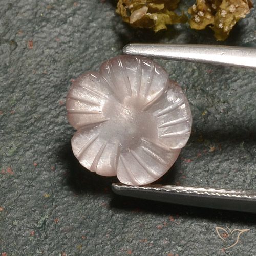 3.00ct Natural Marrom Caramelo Claro Pedra da Lua, Flor cortada, Translúcido