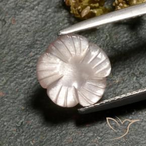 Pedra da Lua Marrom Caramelo Claro Natural 3.00ct, Flor cortada, Translúcido