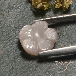 Pedra da Lua Marrom Caramelo Claro Natural 3.00ct, Flor cortada, Translúcido