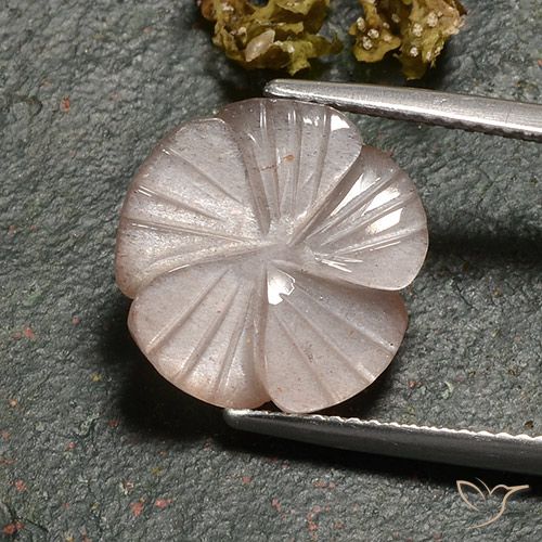 6.77ct Natural Marrom Caramelo Claro Pedra da Lua, Flor cortada, Translúcido