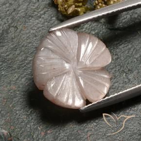 Pedra da Lua Marrom Caramelo Claro Natural 6.77ct, Flor cortada, Translúcido